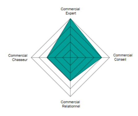Résultat d'analyse d'un profil commercial sur la plateforme d'évaluation E-testing